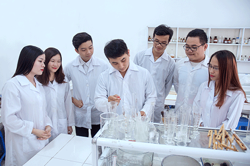 Đào tạo sơ cấp